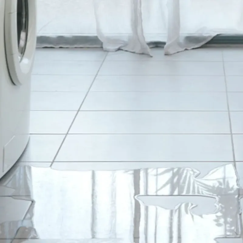 Appliance Leak Cleanup in Mountain View, AR