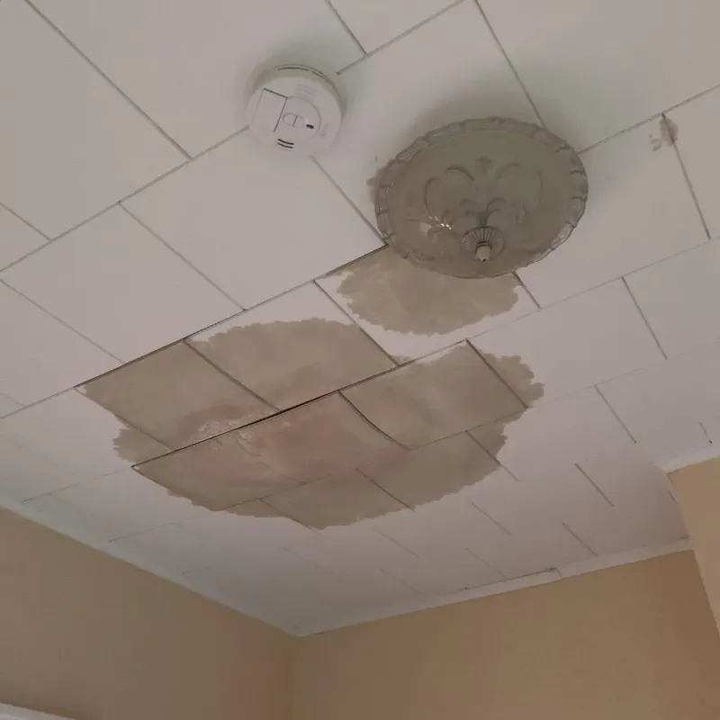 Ceiling Water Damage Repair in Mountain View, AR