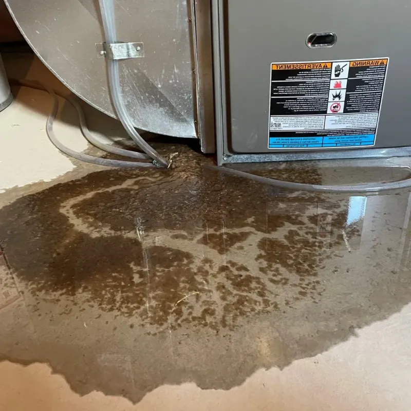 Pipe Burst and Leak Restoration in Mountain View, AR