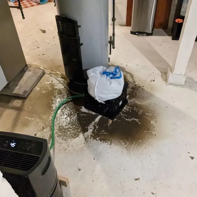 Sewage Backup Cleanup Service in Mountain View, AR